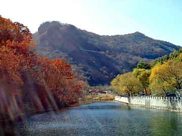 文旅體融合新篇章，實(shí)時(shí)監(jiān)控下的明星湘速度與未來(lái)展望