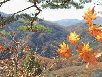 揭秘低空經(jīng)濟(jì)背后的奧秘，探索太陽(yáng)實(shí)時(shí)軌道，洞察明星男友般的細(xì)致觀(guān)察