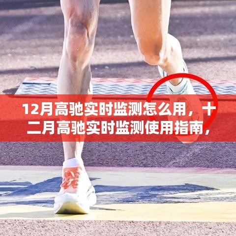 高馳實(shí)時(shí)監(jiān)測(cè)使用指南，掌握十二月實(shí)時(shí)數(shù)據(jù)監(jiān)測(cè)技巧