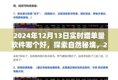 探索自然秘境，開啟心靈之旅，揭秘2024年最佳增單量軟件助你輕松實(shí)現(xiàn)目標(biāo)