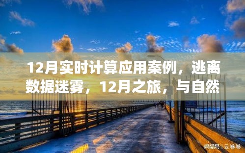 12月實時計算應用案例，數(shù)據(jù)迷霧中的逃離之旅與自然美景的實時對話