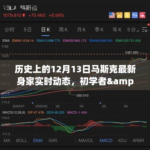 揭秘馬斯克最新身家動態(tài)，歷史上的12月13日追蹤詳解與初學者進階指南