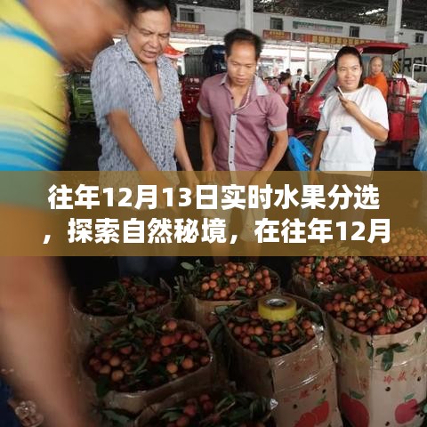 探索自然秘境，水果盛宴中的寧?kù)o與平和體驗(yàn)