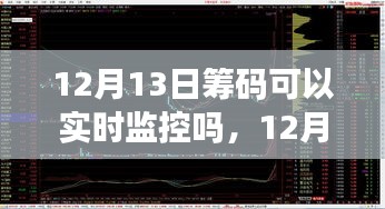 揭秘，12月13日籌碼實(shí)時(shí)監(jiān)控之旅，自然、內(nèi)心與籌碼的交響樂(lè)