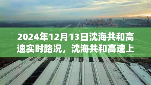 沈海共和高速實時路況與美景探索，自然之旅與心靈寧靜的追尋