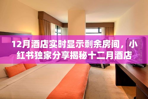 揭秘十二月酒店實(shí)時(shí)房態(tài)顯示秘籍，小紅書獨(dú)家分享，輕松預(yù)訂心儀住宿！