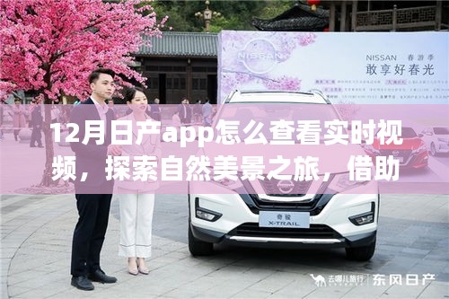 日產(chǎn)App冬季實時視頻指南，探索自然美景，心靈與實景交融之旅