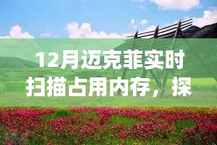 邁克菲實(shí)時(shí)掃描與內(nèi)存占用，自然之旅尋找內(nèi)心平和之地