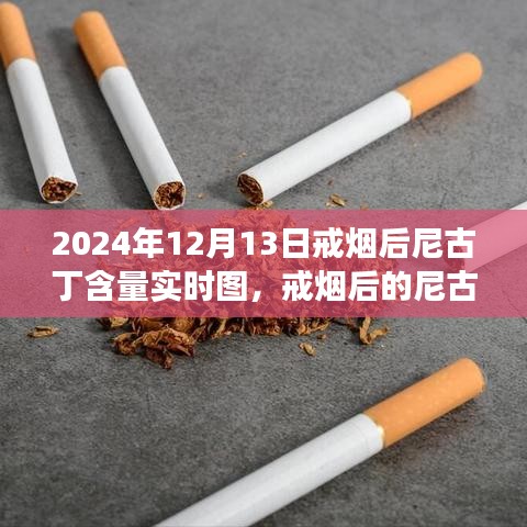 戒煙后尼古丁含量變化深度解讀，實(shí)時(shí)圖揭示戒煙過(guò)程尼古丁含量變化軌跡（圖文詳解）