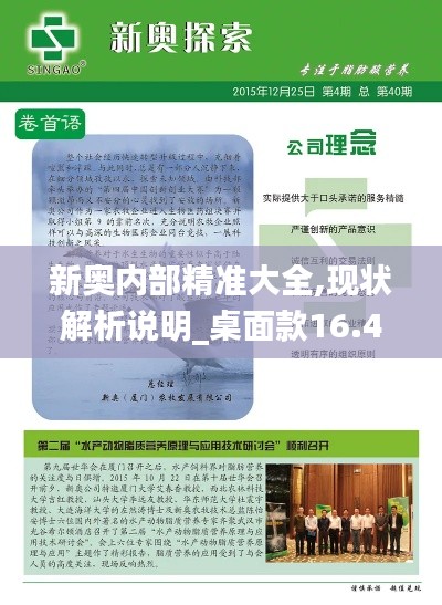 新奧內(nèi)部精準(zhǔn)大全,現(xiàn)狀解析說(shuō)明_桌面款16.423