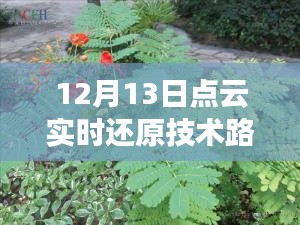 點(diǎn)云實時還原技術(shù)路線圖揭秘，未來科技新篇章的開啟者