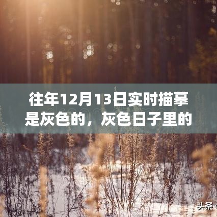 灰色日子里的彩色溫情，一場意外的冬日奇遇紀實