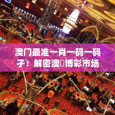 草創(chuàng)未就 第3頁