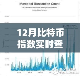 12月比特幣指數(shù)實(shí)時(shí)查詢，全面評(píng)測(cè)與詳細(xì)介紹