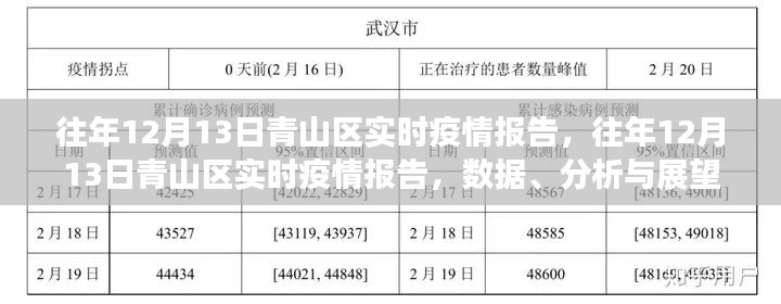 往年12月13日青山區(qū)疫情實時報告，數(shù)據(jù)、分析與未來展望