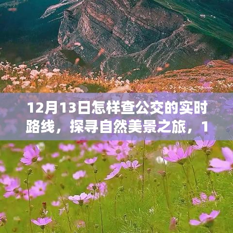 12月13日探尋自然美景之旅，公交實(shí)時(shí)路線開啟心靈之旅的啟程點(diǎn)