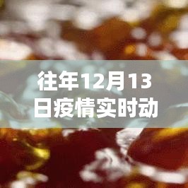 歷年12月13日疫情下的堅(jiān)守與希望，深度解析實(shí)時(shí)動(dòng)態(tài)紀(jì)錄片回顧