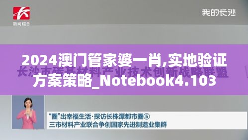 2024澳門管家婆一肖,實(shí)地驗(yàn)證方案策略_Notebook4.103