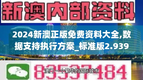 2024新澳正版免費資料大全,數(shù)據(jù)支持執(zhí)行方案_標準版2.939