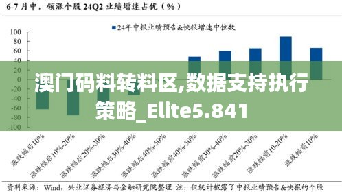 澳門碼料轉料區(qū),數(shù)據(jù)支持執(zhí)行策略_Elite5.841