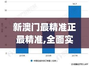 新澳門最精準正最精準,全面實施數據分析_超值版4.339