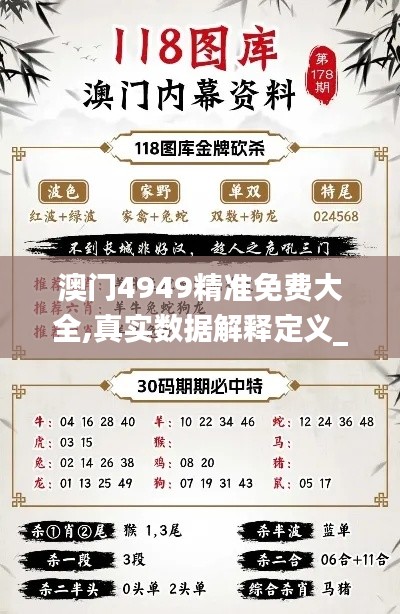 澳門4949精準免費大全,真實數(shù)據(jù)解釋定義_經典款6.204
