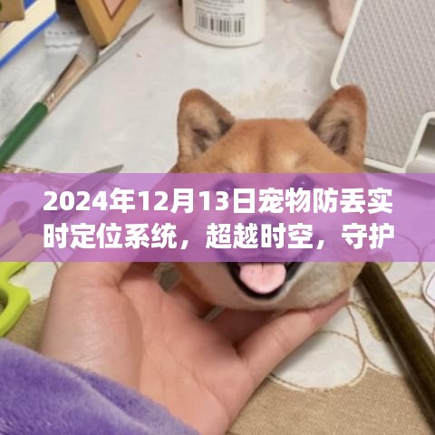 超越時(shí)空的守護(hù)，2024年寵物防丟實(shí)時(shí)定位系統(tǒng)的啟示與成長(zhǎng)之路
