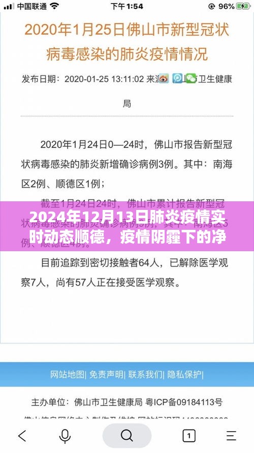 順德疫情動(dòng)態(tài)與心靈洗滌之旅，探索凈土，直面肺炎疫情的挑戰(zhàn)