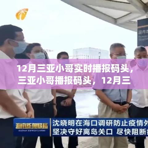 12月三亞港口實(shí)時(shí)資訊播報(bào)與深度評(píng)測(cè)，小哥帶你直擊碼頭動(dòng)態(tài)