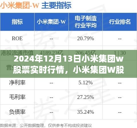 2024年12月13日小米集團(tuán)W股票實(shí)時(shí)行情深度解析，特殊日的股市觀察
