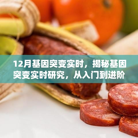揭秘基因突變實時研究，從入門到進階全程指南（適合初學(xué)者與進階用戶）