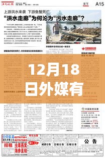多維視角下的觀點(diǎn)碰撞，揭秘外媒實(shí)時(shí)媒體網(wǎng)站在12月18日的動(dòng)態(tài)與探析