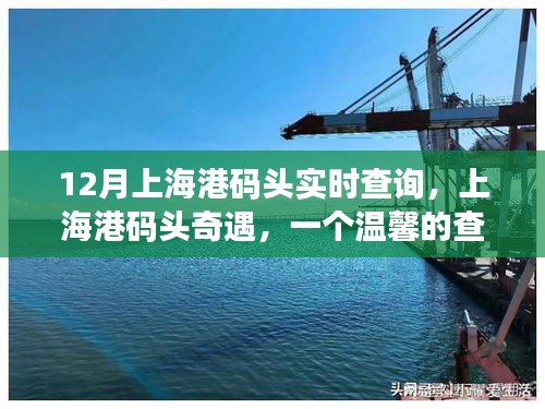 上海港碼頭奇遇，溫馨的查詢故事實(shí)時(shí)更新