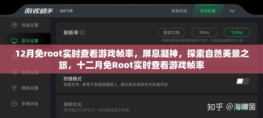 十二月免Root實時查看游戲幀率，屏息凝神，探索自然美景的游戲之旅