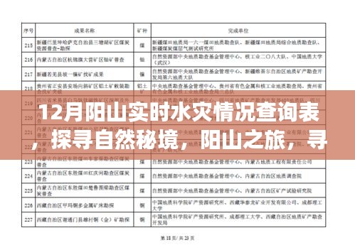 探尋自然秘境，陽山之旅遭遇水災，實時情況查詢與內心力量的尋找