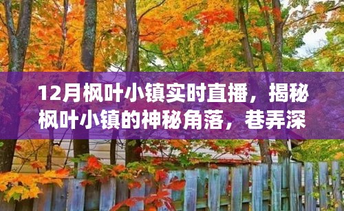 12月楓葉小鎮(zhèn)深度探索，神秘角落與巷弄小店的直播揭秘