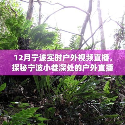 12月寧波戶外直播探秘，冬日風(fēng)情直播秀，小巷深處的秘境展示