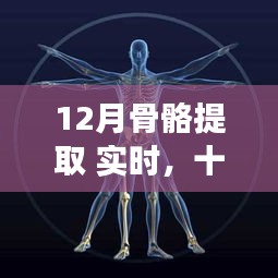 深度探究，十二月骨骼提取——?dú)v史背景、重大事件與領(lǐng)域地位實(shí)時(shí)解析