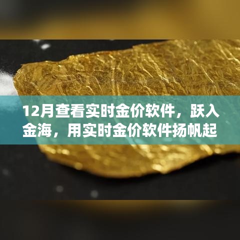 躍入金海，實(shí)時(shí)金價(jià)軟件助你揚(yáng)帆起航，金銀財(cái)富與自信人生的學(xué)習(xí)之旅