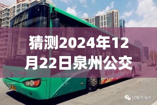 泉州公交車實時查詢App使用指南，從初學(xué)者到進(jìn)階用戶，掌握2024年12月22日泉州公交實時路線查詢App的實用技巧與操作指南