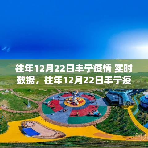 往年12月22日豐寧疫情實時數(shù)據(jù)查詢指南，初學(xué)者與進階用戶適用步驟教程