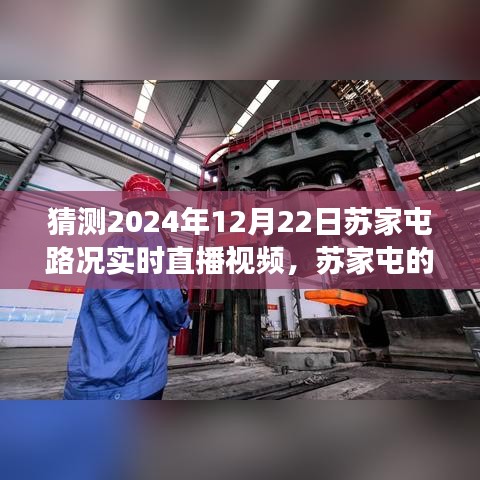 蘇家屯路況實時直播，探索神秘小巷的特色小店，預(yù)測未來路況之旅