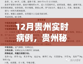 貴州秘境探秘，自然療愈與尋找內(nèi)心寧靜之旅——實時病例追蹤報道