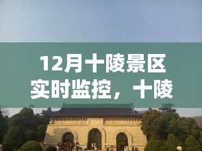 十陵景區(qū)12月實(shí)時監(jiān)控攻略，初學(xué)者與進(jìn)階用戶的全方位教程