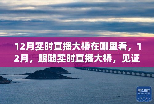 見證力量，12月實(shí)時(shí)直播大橋，自信成就之光展現(xiàn)變化力量