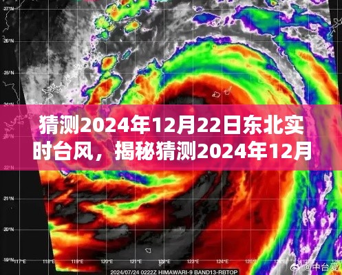 揭秘東北未來臺風(fēng)，關(guān)于東北實時臺風(fēng)特性、體驗、競品對比及用戶群體分析預(yù)測報告（2024年12月22日）