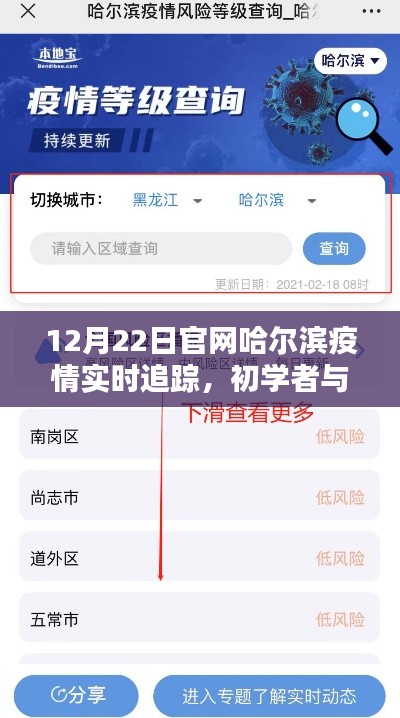 哈爾濱疫情實時追蹤指南，從初學(xué)者到進(jìn)階用戶，一鍵掌握（以12月22日為例）