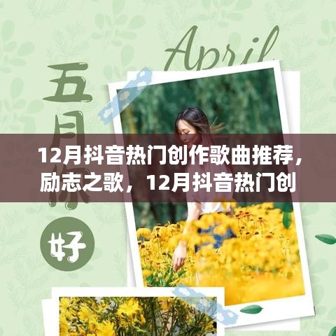 喚醒自信與成就感，12月抖音熱門創(chuàng)作歌曲推薦，擁抱變化的力量