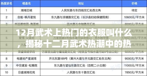 揭秘十二月武術(shù)熱潮中的熱門(mén)服飾名稱(chēng)，武術(shù)服裝流行趨勢(shì)解析