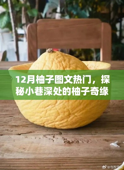 下里巴人 第3頁